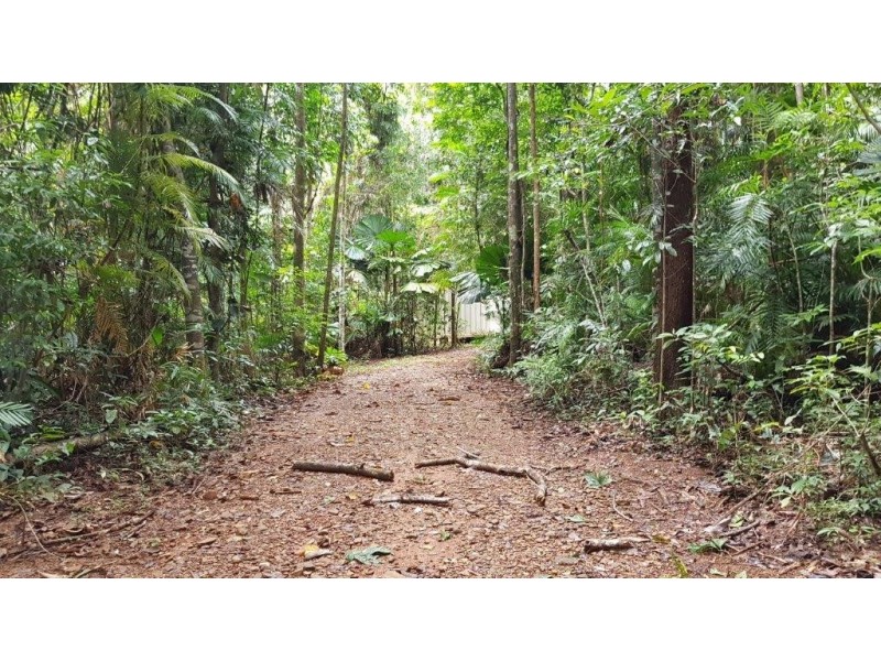 Lot 8 Buchanan Creek Road, Daintree QLD 4873