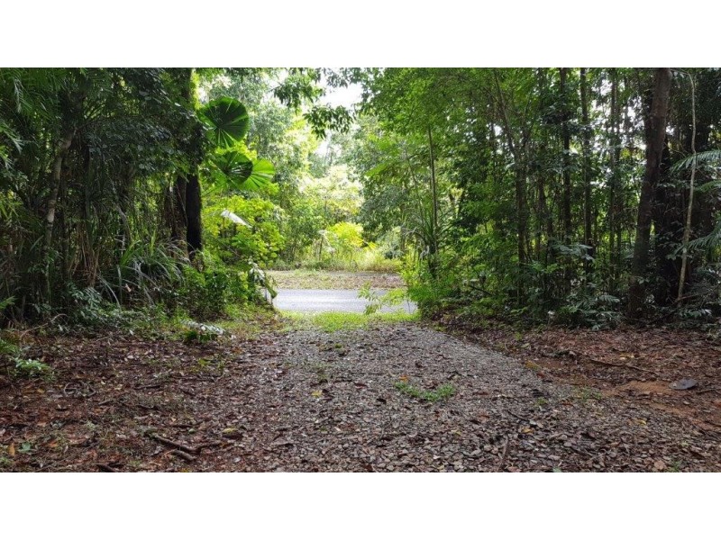 Lot 8 Buchanan Creek Road, Daintree QLD 4873