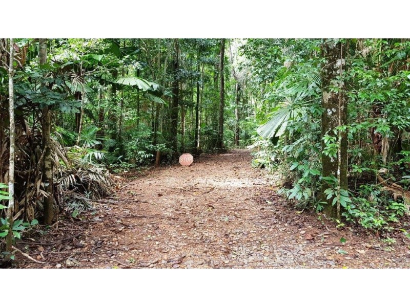 Lot 8 Buchanan Creek Road, Daintree QLD 4873