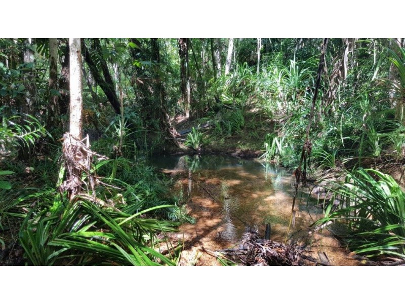 72 Cedar Road, Daintree QLD 4873