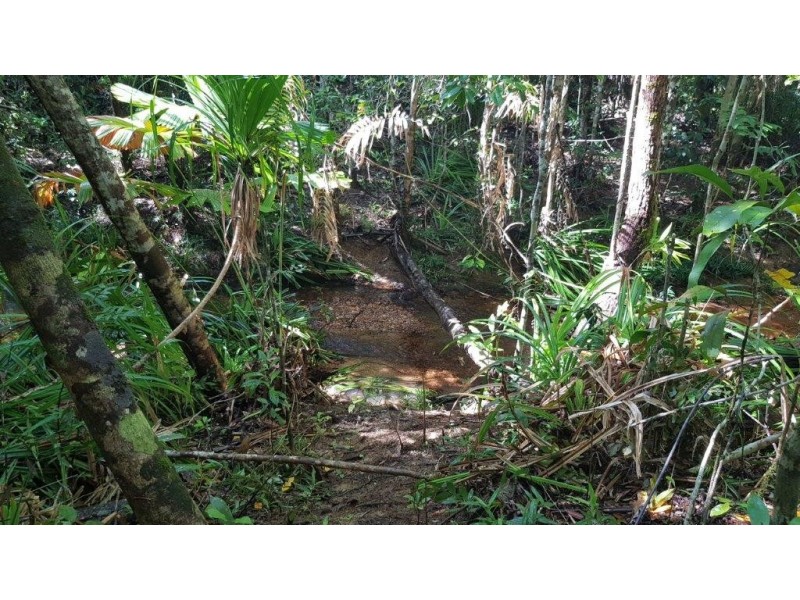 72 Cedar Road, Daintree QLD 4873