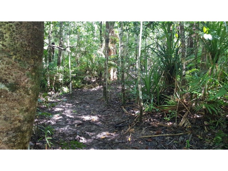 72 Cedar Road, Daintree QLD 4873
