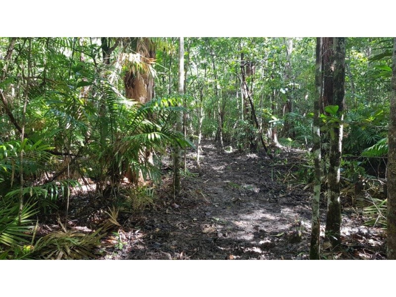 72 Cedar Road, Daintree QLD 4873