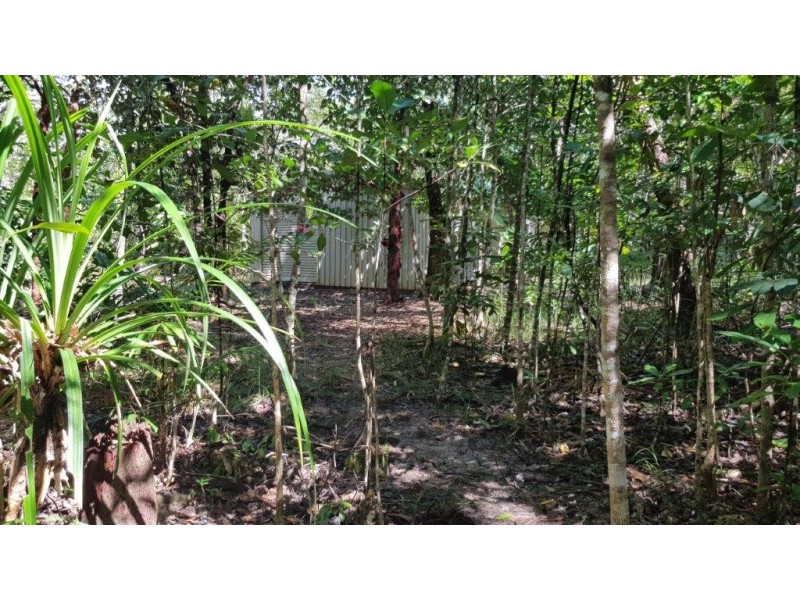 72 Cedar Road, Daintree QLD 4873