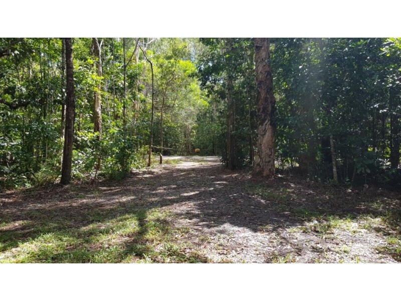 72 Cedar Road, Daintree QLD 4873