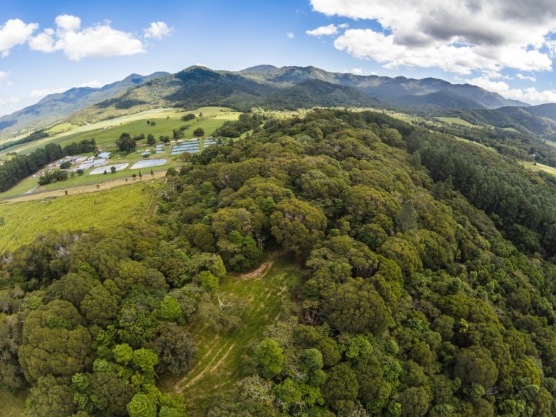 Lot 1 Mossman Mt Molloy Road, Julatten QLD 4871