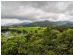 Lot 1 Mossman Mt Molloy Road, Julatten QLD 4871