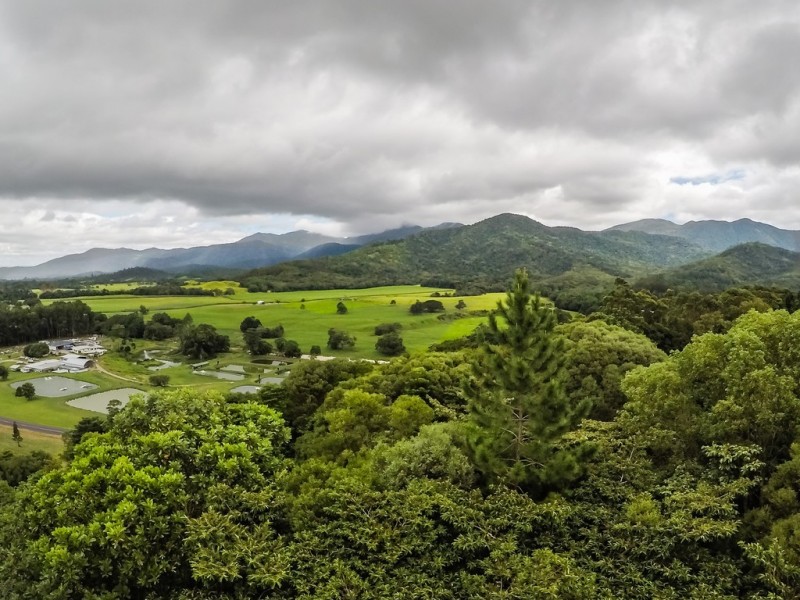 Lot 1 Mossman Mt Molloy Road, Julatten QLD 4871
