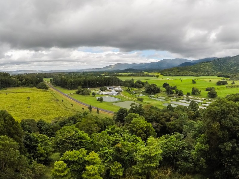 Lot 1 Mossman Mt Molloy Road, Julatten QLD 4871