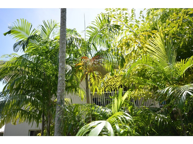 27/1 Beor Street (Plantation Resort), Port Douglas QLD 4877