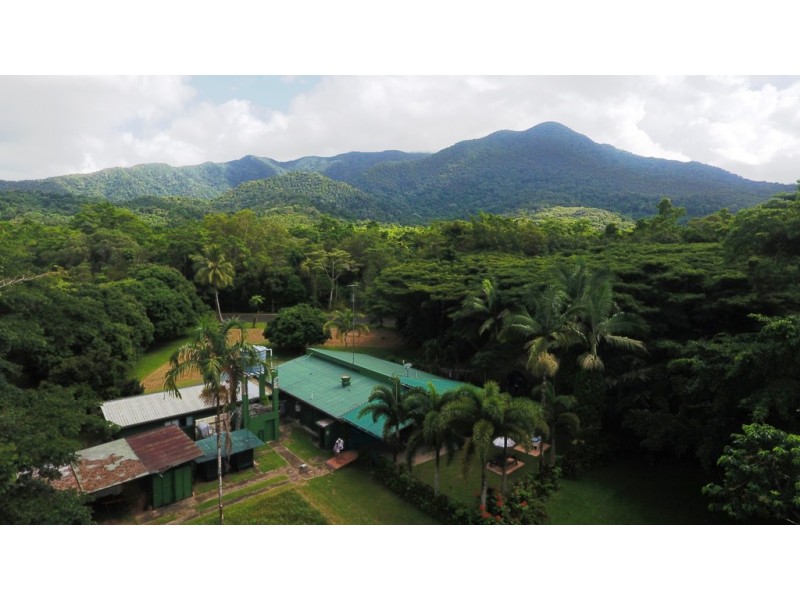 80 Cape Trib Road, Daintree QLD 4873