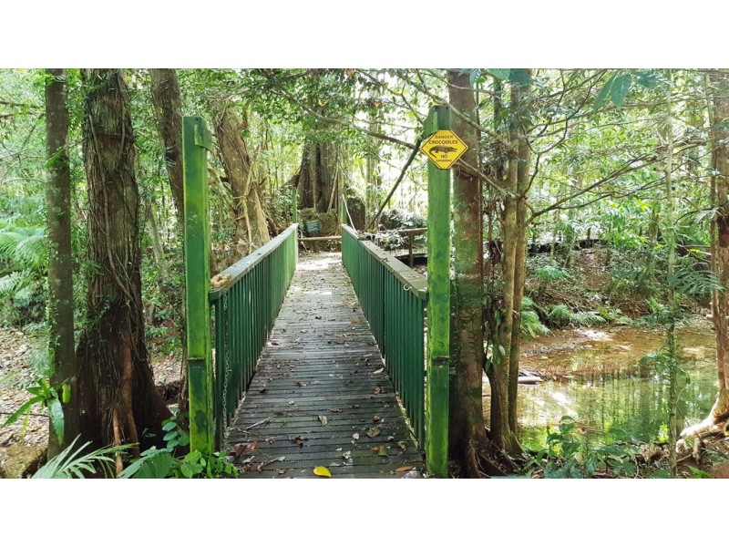 80 Cape Trib Road, Daintree QLD 4873