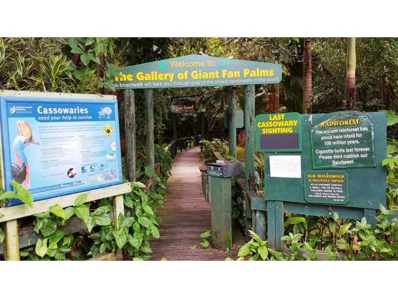 80 Cape Trib Road, Daintree QLD 4873