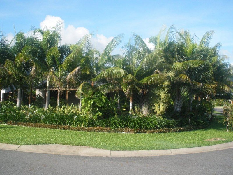 Port Douglas QLD 4877