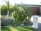 Port Douglas QLD 4877