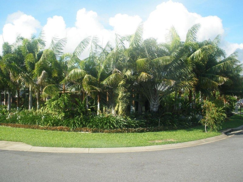 Port Douglas QLD 4877
