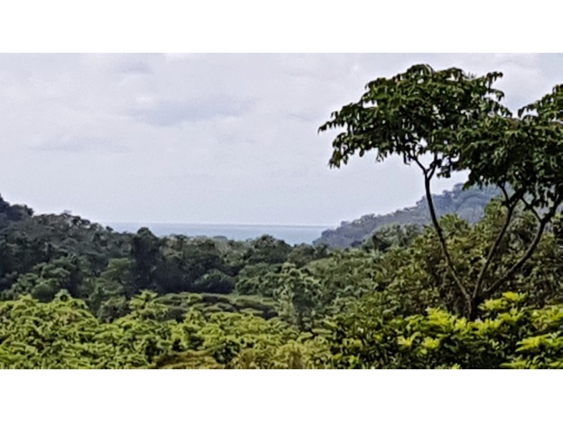 15 Ironbark Road, Daintree QLD 4873