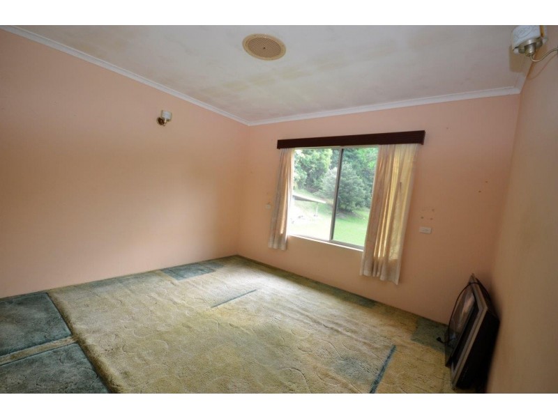 1585 MOSSMAN-DAINTREE ROAD, Wonga Beach QLD 4873