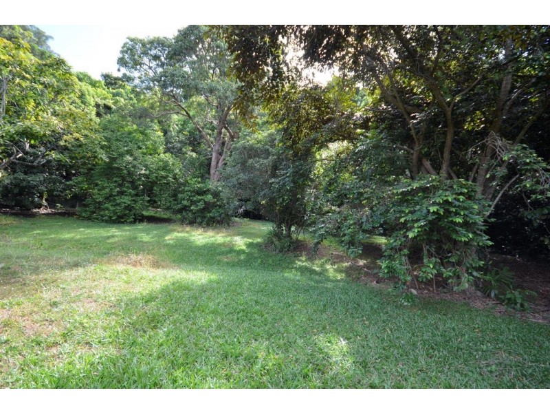 1585 MOSSMAN-DAINTREE ROAD, Wonga Beach QLD 4873