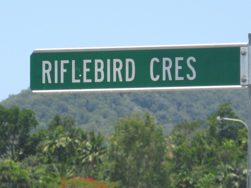 8 Riflebird Crescent, Mossman QLD 4873