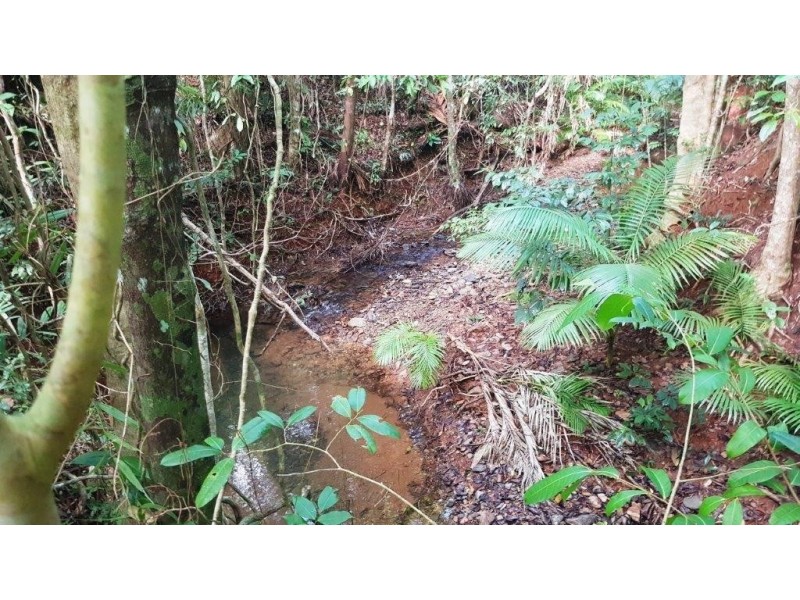 26 Buchanan Creek Road, Daintree QLD 4873
