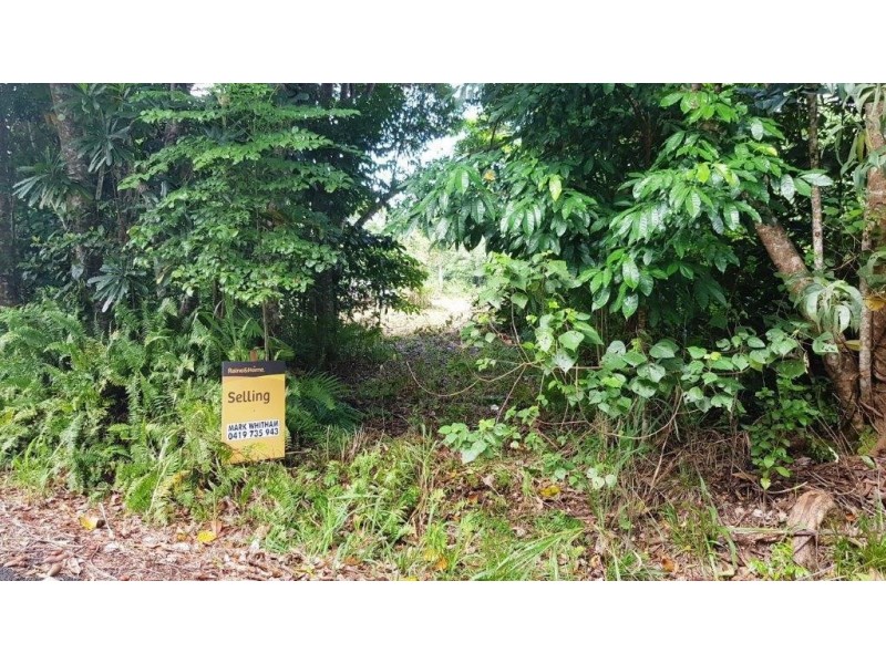26 Buchanan Creek Road, Daintree QLD 4873