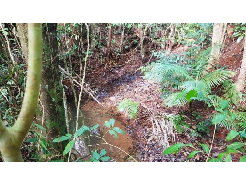 26 Buchanan Creek Road, Daintree QLD 4873