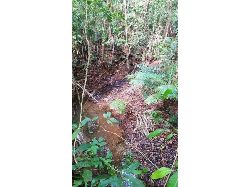 26 Buchanan Creek Road, Daintree QLD 4873