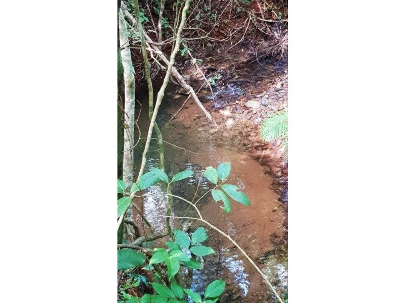 26 Buchanan Creek Road, Daintree QLD 4873