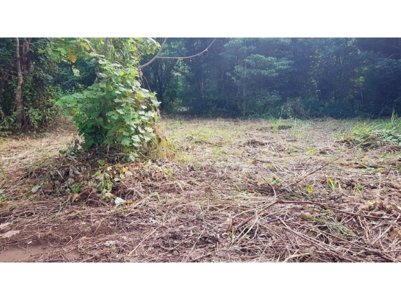 26 Buchanan Creek Road, Daintree QLD 4873