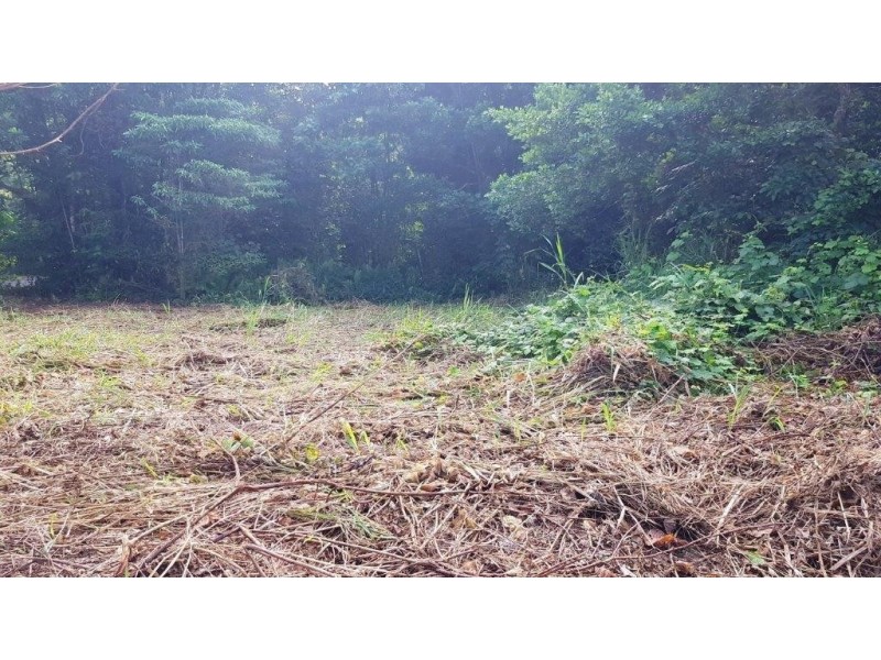 26 Buchanan Creek Road, Daintree QLD 4873