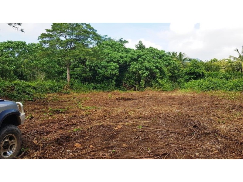 26 Buchanan Creek Road, Daintree QLD 4873