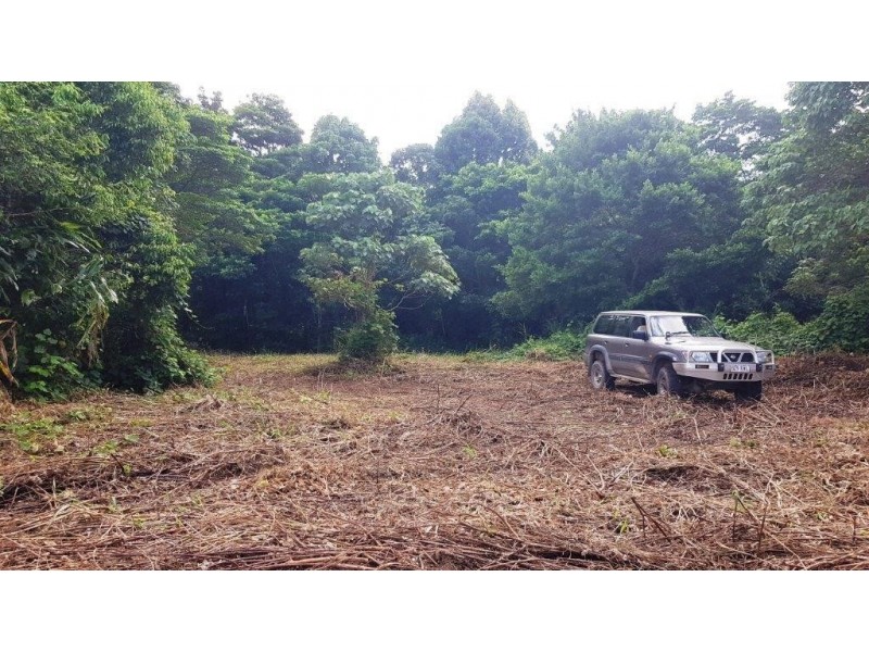 26 Buchanan Creek Road, Daintree QLD 4873