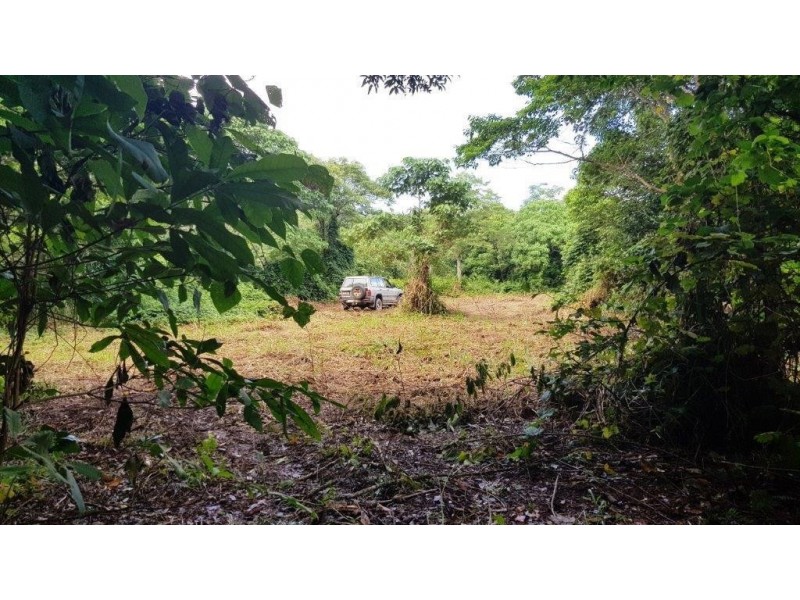 26 Buchanan Creek Road, Daintree QLD 4873