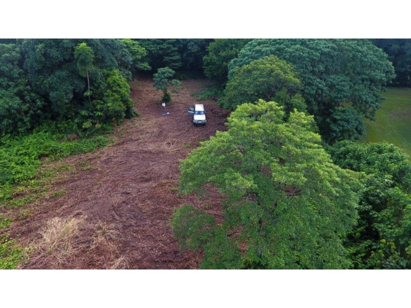 26 Buchanan Creek Road, Daintree QLD 4873