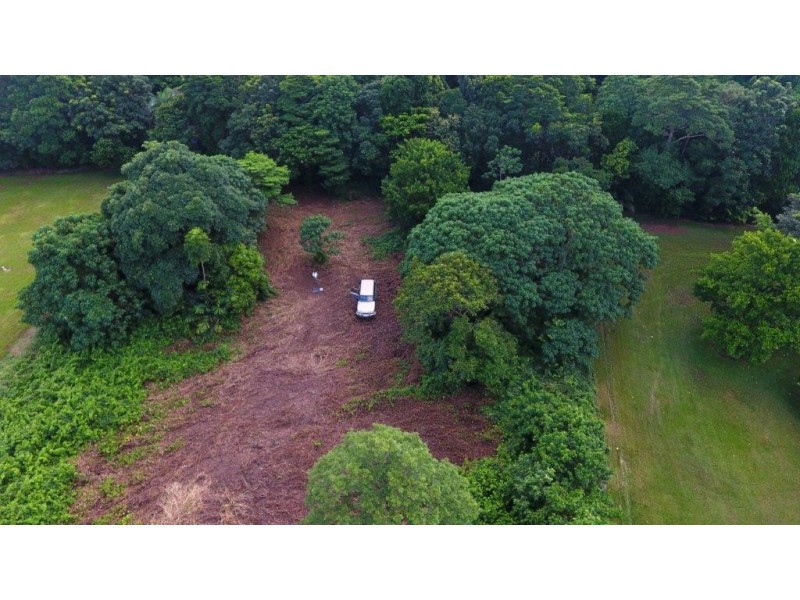 26 Buchanan Creek Road, Daintree QLD 4873