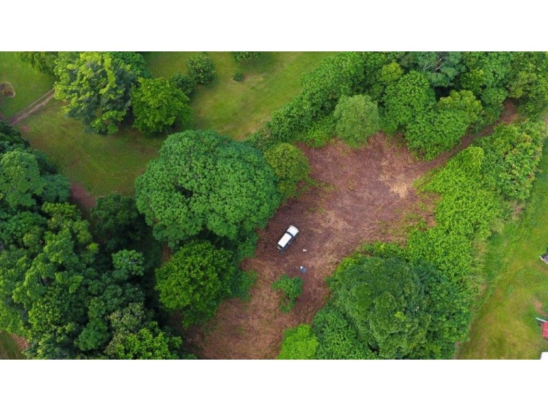 26 Buchanan Creek Road, Daintree QLD 4873