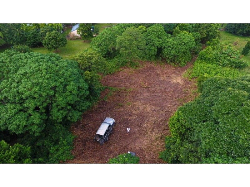 26 Buchanan Creek Road, Daintree QLD 4873