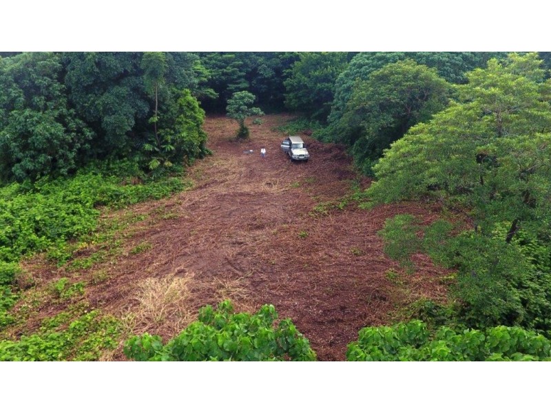 26 Buchanan Creek Road, Daintree QLD 4873