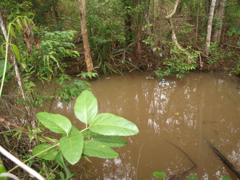 911 EULUMA CREEK ROAD, Julatten QLD 4871