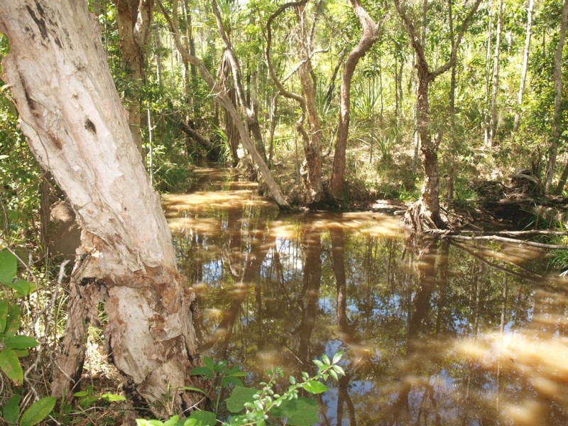 911 EULUMA CREEK ROAD, Julatten QLD 4871