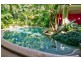 336 (1437) Cape Trib Road, DAINTREE MOTEL, Daintree QLD 4873