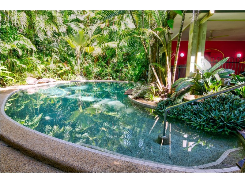 336 (1437) Cape Trib Road, DAINTREE MOTEL, Daintree QLD 4873