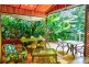 336 (1437) Cape Trib Road, DAINTREE MOTEL, Daintree QLD 4873
