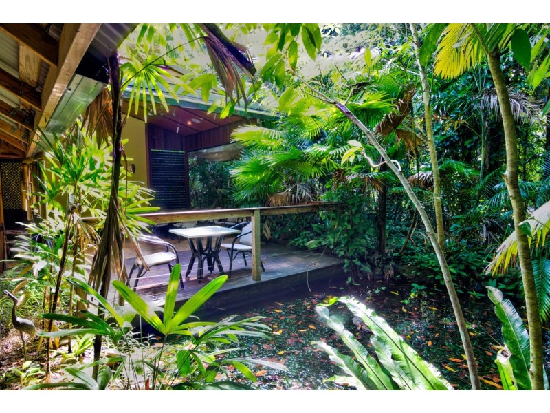 336 (1437) Cape Trib Road, DAINTREE MOTEL, Daintree QLD 4873