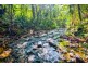 336 (1437) Cape Trib Road, DAINTREE MOTEL, Daintree QLD 4873
