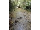 336 (1437) Cape Trib Road, DAINTREE MOTEL, Daintree QLD 4873