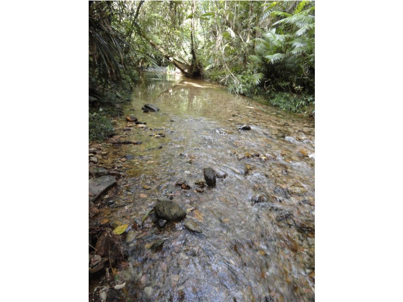 336 (1437) Cape Trib Road, DAINTREE MOTEL, Daintree QLD 4873