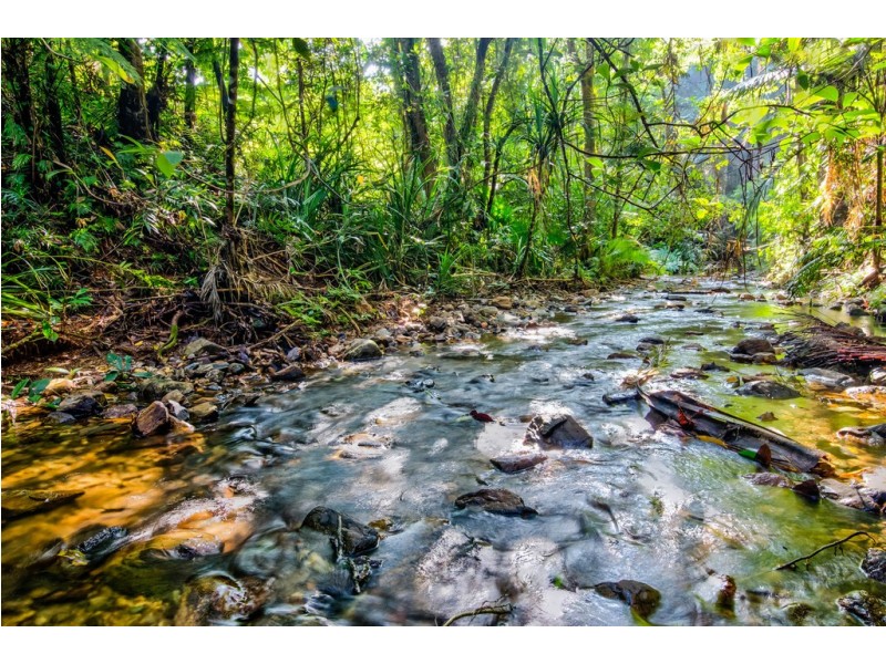336 (1437) Cape Trib Road, DAINTREE MOTEL, Daintree QLD 4873