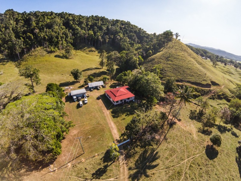 3391 MOSSMAN DAINTREE ROAD, Daintree QLD 4873